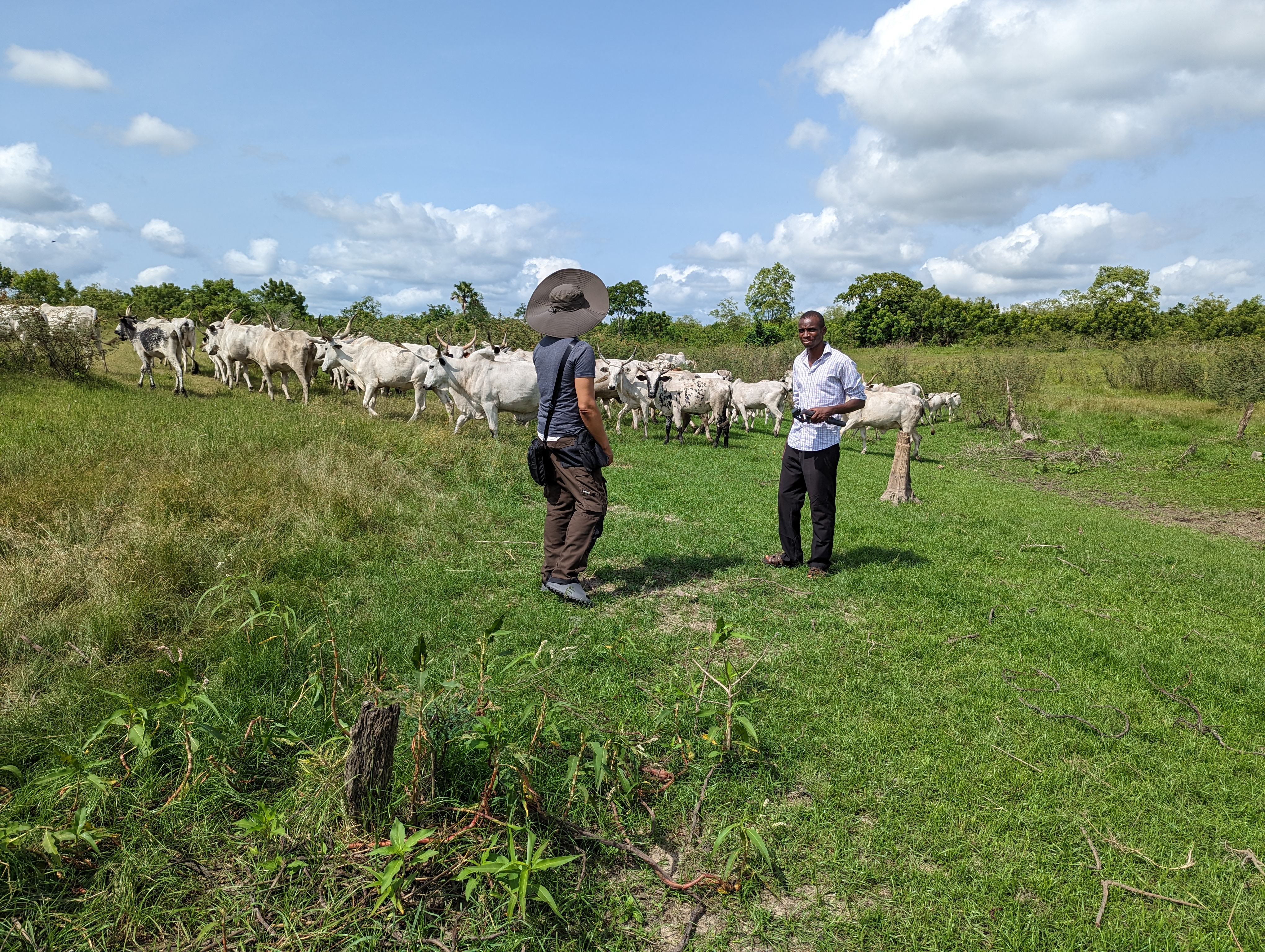 Ubuntu Farms headquarters building in rural Nigerian setting